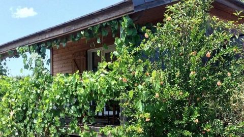 Gite 4 personnes en village de gites sud Ardèche