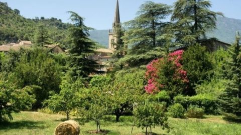 Le domaine de la Jeanne - Village de gîtes aux vans en Ardeche